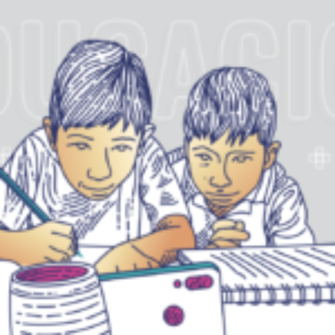Habilidades digitales: ¿Qué plantear para contribuir a la educación en Bolivia?