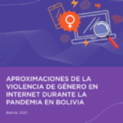 Aproximaciones de la Violencia de Género en Internet