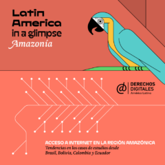 Se realizó el presente estudio de acceso a internet en la región amazónica de Bolivia con un doble objetivo: por un lado, en el corto plazo, conocer las condiciones de acceso y uso de internet en ese territorio; y por otro lado, a mediano plazo, explorar la generación de espacios de decisión colaborativos entre las comunidades y los diferentes niveles del Estado hacia la definición de políticas interculturales de acceso a internet, en concordancia con el horizonte de vida de los pueblos amazónicos. Nos referimos a entender el acceso al espacio digital desde las propias vivencias de los pueblos indígenas, según sus usos y costumbres, autodeterminación, las formas en que solucionan algunas necesidades relacionadas con la información y conocimiento, la relación con el desarrollo sostenible y la explotación de recursos naturales que pone en riesgo su subsistencia, además del ejercicio de otros derechos humanos que se ven reflejados igualmente en internet.