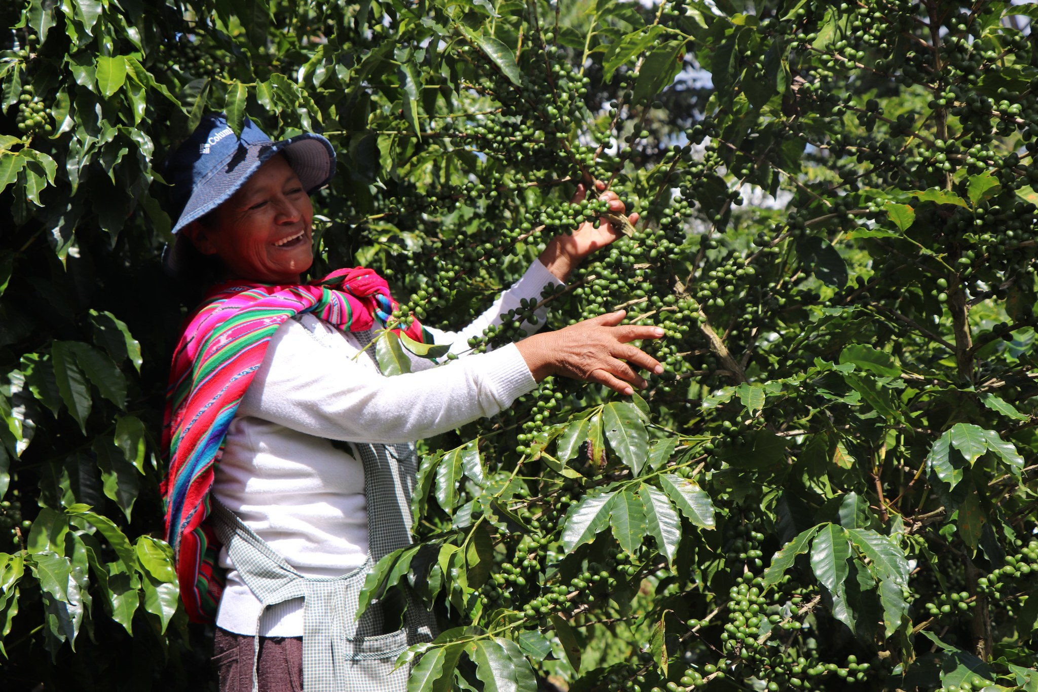 Un territorio de oportunidades digitales y sostenibles