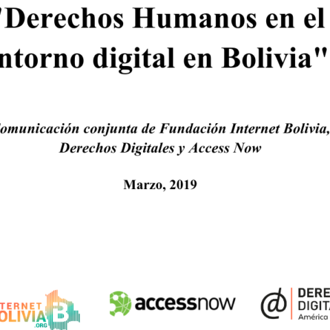 Informe «Derechos Humanos en el entorno digital en Bolivia»