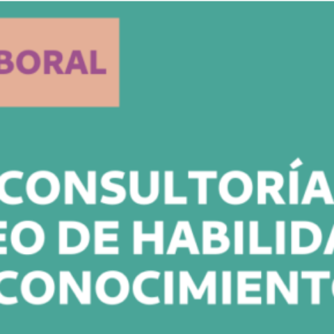 Búsqueda Laboral: Consultoría Mapeo de habilidades y conocimientos